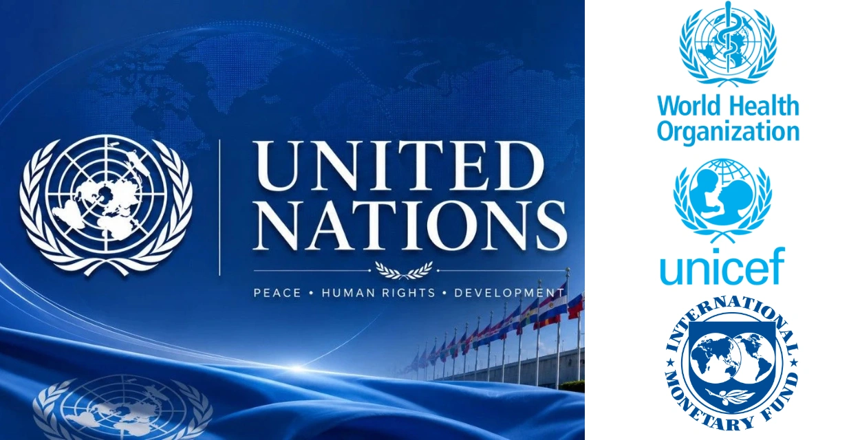 International Organizations